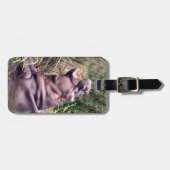 Hippo Roar, Gepäckmarke Gepäckanhänger (Vorderseite horizontal)