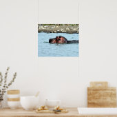 Hippo-Schwimmen Poster (Küche)