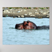 Hippo-Schwimmen Poster (Vorne)