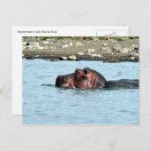 Hippo-Schwimmen Postkarte (Vorne/Hinten)