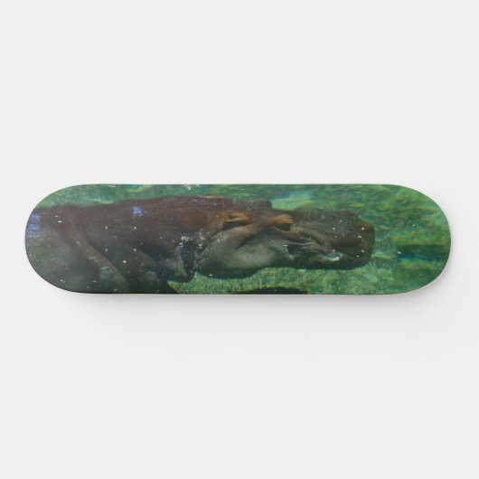 Hippo-Schwimmen unter Wasser, Skateboard (Horizontal)