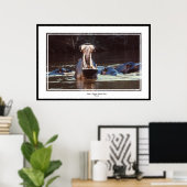 Hippo - Serentgeti Poster (Heimbüro)