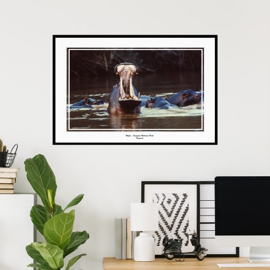 Hippo - Serentgeti Poster (Heimbüro)