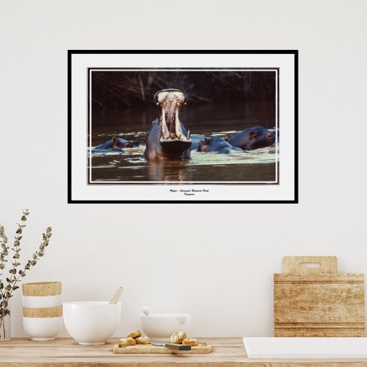 Hippo - Serentgeti Poster (Küche)