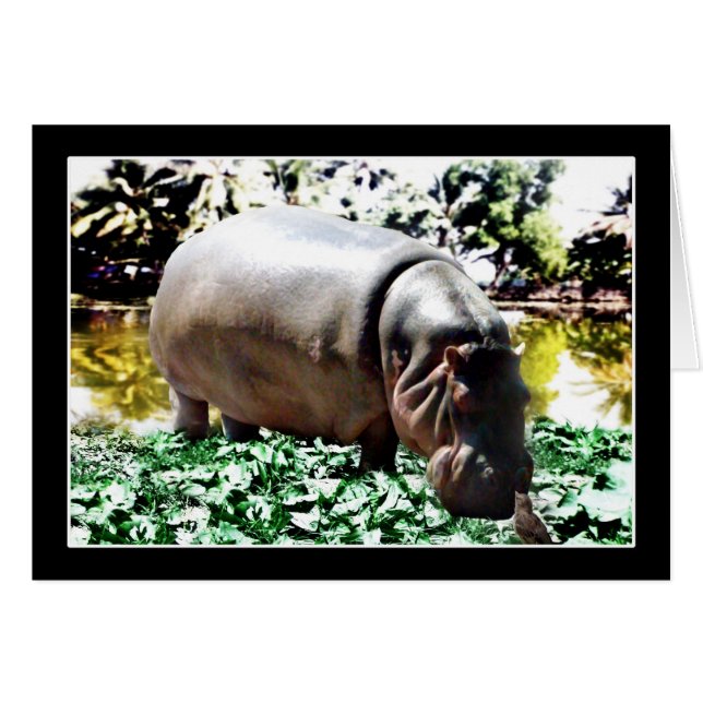 Hippo und der Vogel (Vorderseite (Horizontal))