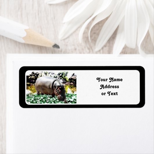 Hippo und der Vogel (Insitu)