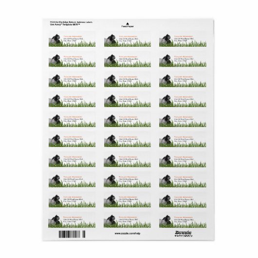 Hippo und Gorilla im Gras (Vorne)