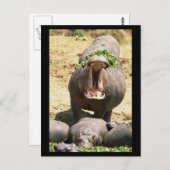 Hippo Yell Postkarte (Vorne/Hinten)