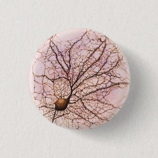 Hippocampal Neuron - Knopf u. Button