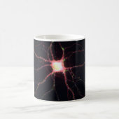 Hippocampal Neuronen 2 Kaffeetasse (Mittel)