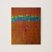 Hippocampal Neuronen 4 Puzzle (Vertikal)