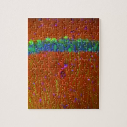 Hippocampal Neuronen 4 Puzzle (Vertikal)