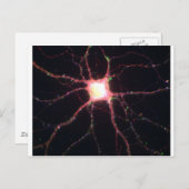 Hippocampale Neuronen 2 Postkarte (Vorne/Hinten)