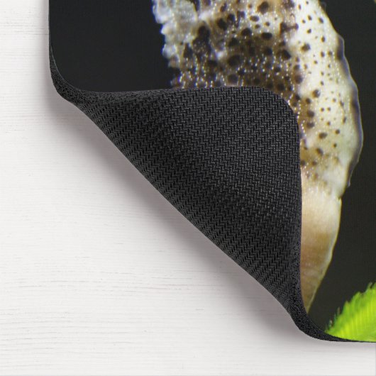 Hippocampus Mousepad (Ecke)