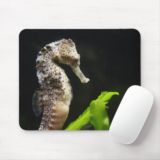 Hippocampus Mousepad (Mit Mouse)