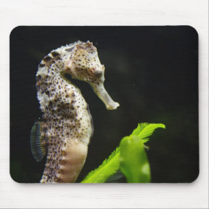 Hippocampus Mousepad