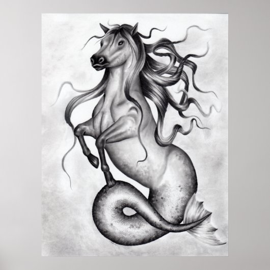 Hippocampus Poster (Vorne)
