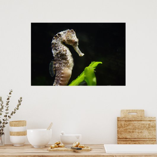 Hippocampus Poster (Küche)