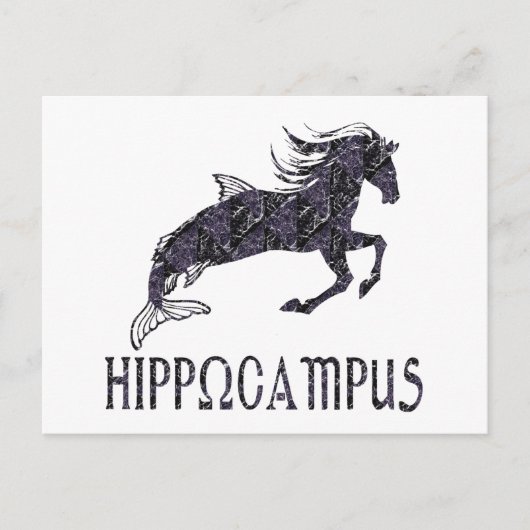 Hippocampus Postkarte (Vorderseite)