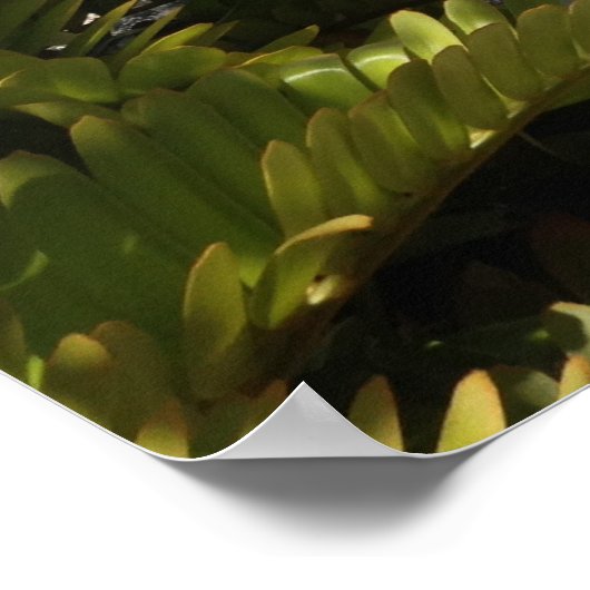 Hippocampus-Statue, Waikoloa, Hawaii Poster (Ecke)