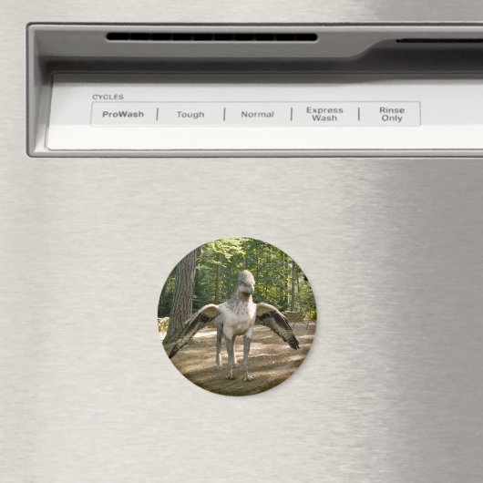 Hippogriff Magnet (In Situ (Geschirrspüler))