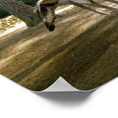 Hippogriff Poster (Ecke)