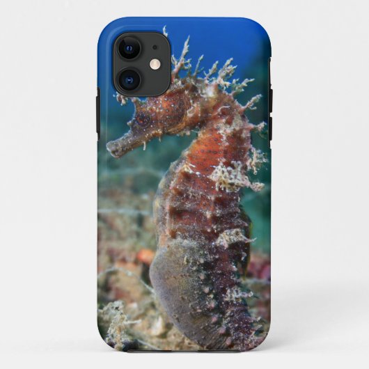 Hippokamp Ramulosus des Seepferd| Case-Mate iPhone Hülle (Rückseite)