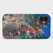 Hippokamp Ramulosus des Seepferd| Case-Mate iPhone Hülle (Rückseite (Horizontal))