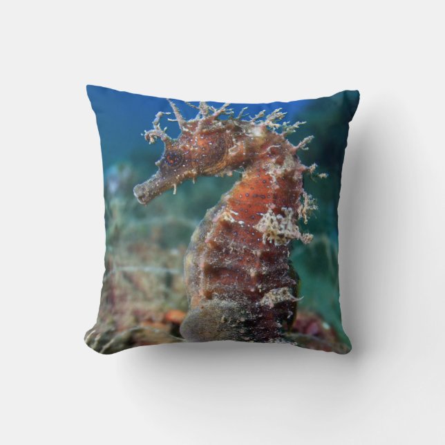 Hippokamp Ramulosus des Seepferd| Kissen (Vorderseite)