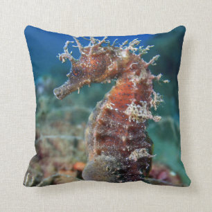 Hippokamp Ramulosus des Seepferd  Kissen