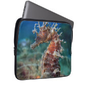 Hippokamp Ramulosus des Seepferd| Laptopschutzhülle (Vorne Rechts)