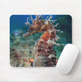 Hippokamp Ramulosus des Seepferd| Mousepad (Mit Mouse)