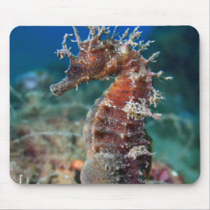 Hippokamp Ramulosus des Seepferd Mousepad
