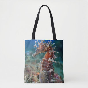 Hippokamp Ramulosus des Seepferd Tasche