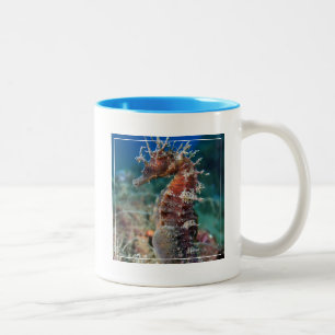 Hippokamp Ramulosus des Seepferd  Zweifarbige Tasse