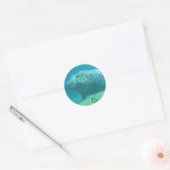 Hippopatumus Habitat Stickers (Umschlag)