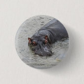 Hippoposterus Button (Vorderseite)