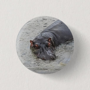 Hippoposterus Button