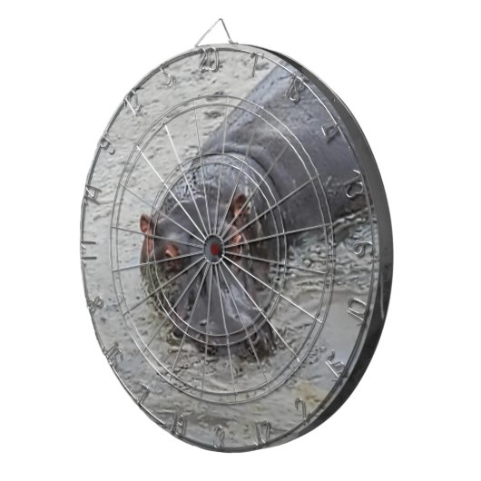 Hippoposterus Dartscheibe (Vorderseite rechts)