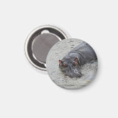 Hippoposterus Magnet (Vorderseite/Rückseite)