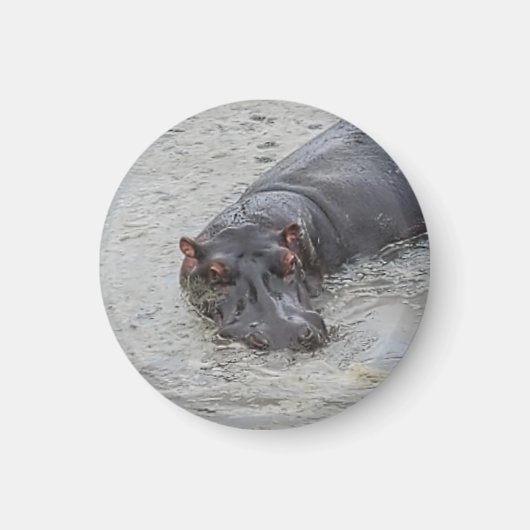 Hippoposterus Magnet (Vorne)