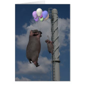 Hippopotamus (Vorne)