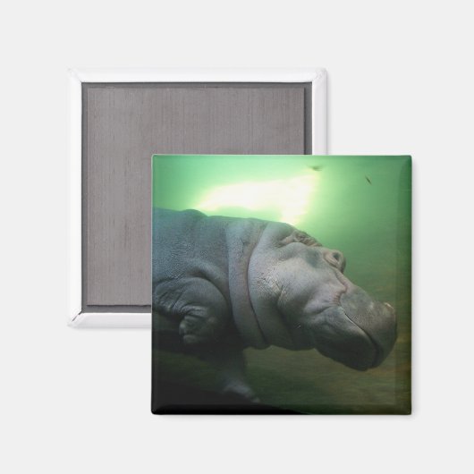 Hippopotamus Abstrakt Magnet (Vorderseite/Rückseite)