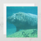 Hippopotamus-Einladung Einladung (Vorne/Hinten)