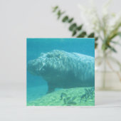 Hippopotamus-Einladung Einladung (Stehend Vorderseite)