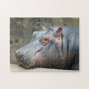 Hippopotamus-Fotopuzzlespiel Puzzle