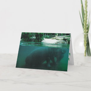 "Hippopotamus" Geburtskarte Karte