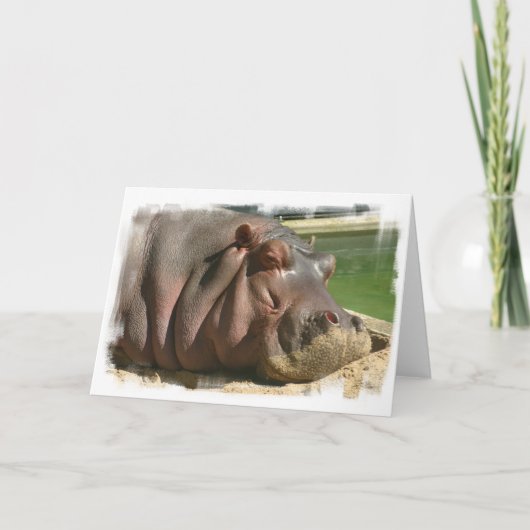 Hippopotamus Grußkarte Karte (Vorderseite)
