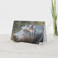 Hippopotamus-Grußkarte