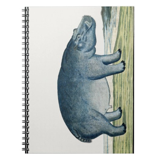 Hippopotamus - Hippo - Afrika Tier - Niedliches Hi Notizblock (Vorderseite)